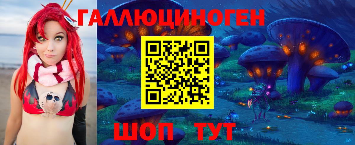 Псилоцибиновые грибы GOLDEN TEACHER  Вход с VPN  Псилоцибиновые грибы MAGIC MUSHROOMS  Моздок 