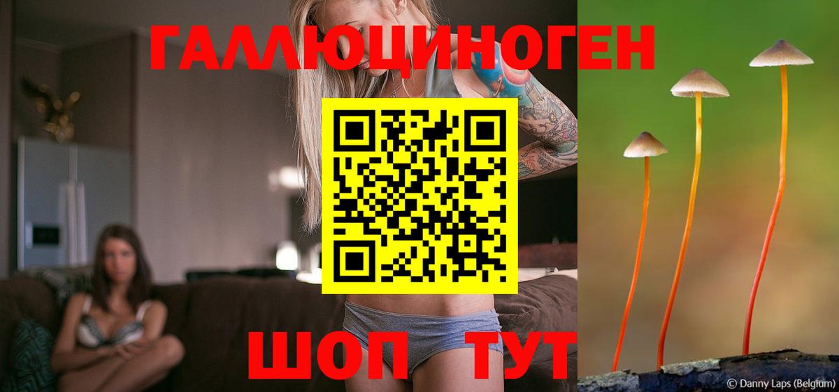 Галлюциногенные грибы прущие грибы Моздок