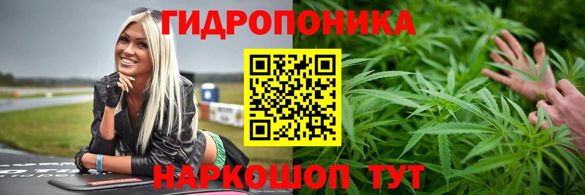 Конопля Ganja  МАРИХУАНА Ganja  Вход с VPN  Канабис THC 21%  Моздок 